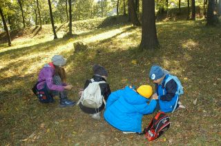 DSC_0421 (1600x1063)